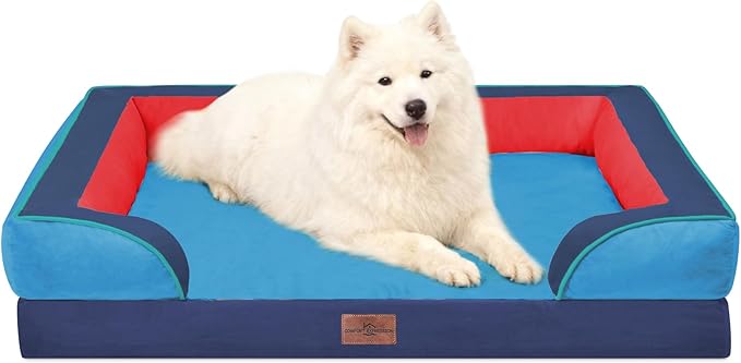 Pet Beds & Furniture