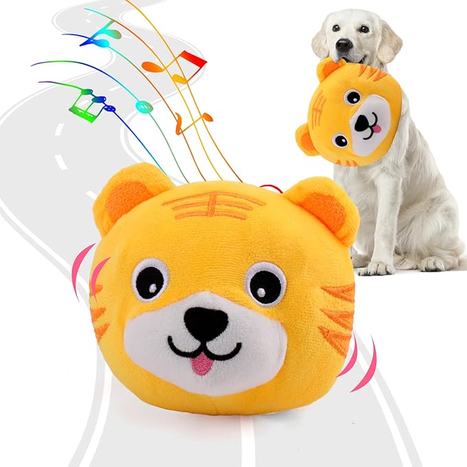 Dog Toys