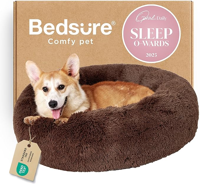 Pet Beds & Furniture