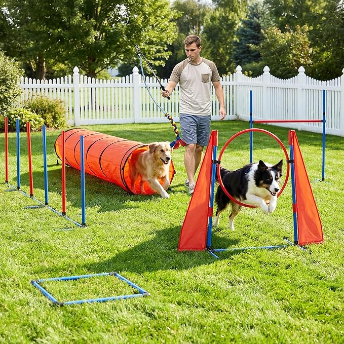 Dog Training & Behavior Aids