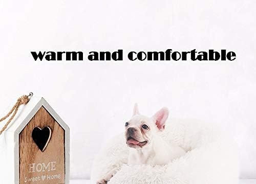 BODISEINT Modern Soft Plush Round Pet Bed for Cats or Small Dogs, Mini Medium Sized Dog Cat Bed Self Warming Autumn Winter Indoor Snooze Sleeping Cozy Kitty Teddy Kennel (24'' D x 8'' H, Pink)