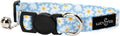 Lucy & Co. Simply Splendid Breakaway Cat Collar with Bell – Designer Print Adjustable Safety Collar for Cats, Kittens & Small Dogs, Lightweight Pet Collar for Boy & Girl Cats – Large