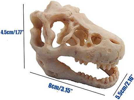Resin Dinosaur Skull Aquarium Ornament Mini Dinosaur Tank Decoration Betta Fish Small Dinosaur Skull Fish Reptile Tank with Holes Aquarium Landscape Reptile Hideout Caves