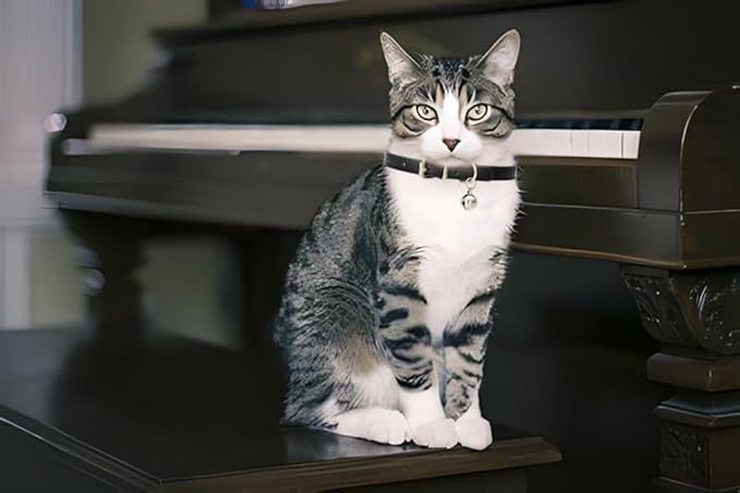 Brown Small Dog Collar with Bell, Soft Pu Leather Cat Collars Adjustable Buckle for XXS XS Extra Small Medium Tiny Female Male Boys Girls Pets Dogs Kitten Teacup Yorkie S