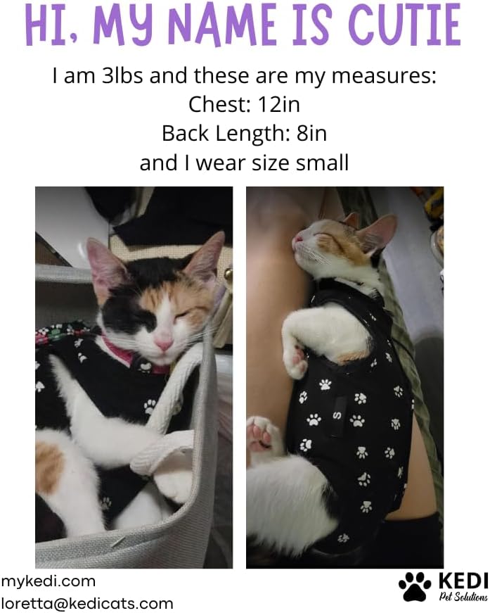Cat Surgery Recovery Suit Female Cat Onesie for Cats After Surgery Spay Surgical Abdominal Wound Skin Diseases E-Collar Alternative Wear (Black, Medium)