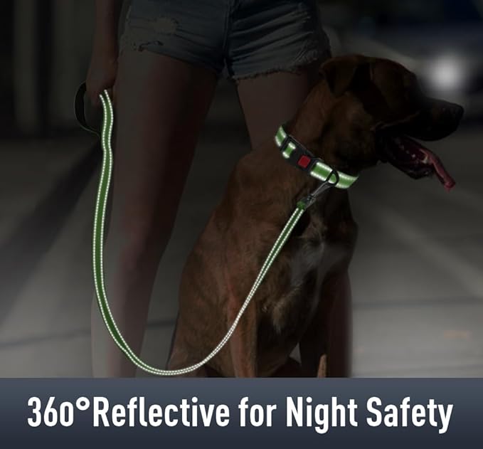 Airtag Dog Collar with AirTag Holder for Large Dogs, Reflective, Soft Padded & Safety Locking Buckle, Nylon Pet Collars Adjustable for All Breeds, Green,L