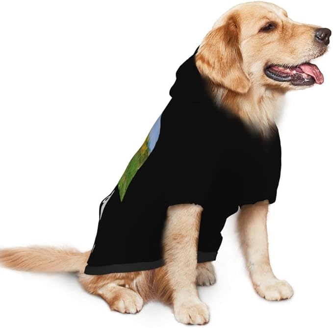 Custom Dog Clothes with Photo Name Logo Personalized Dog Sweaters for Small Medium Large Dogs Breathable Warm, Cyan, XL