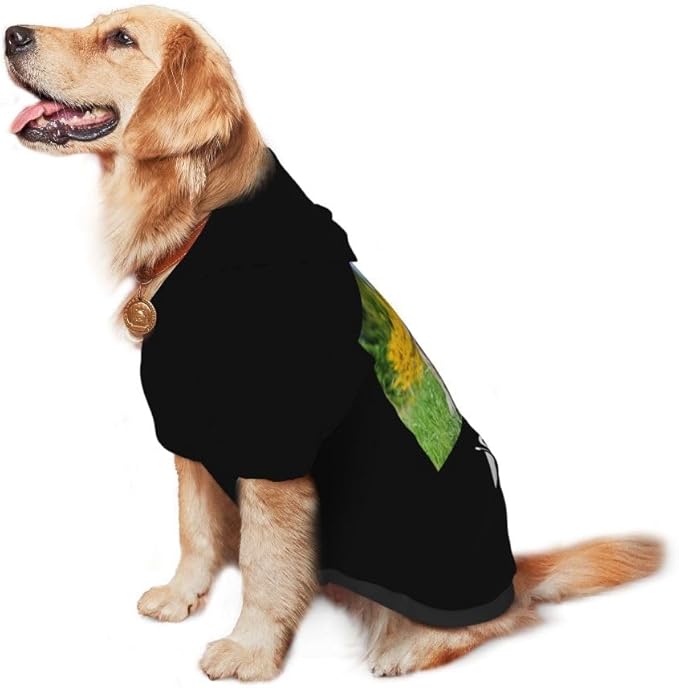 Custom Dog Clothes with Photo Name Logo Personalized Dog Sweaters for Small Medium Large Dogs Breathable Warm, Teal, XL