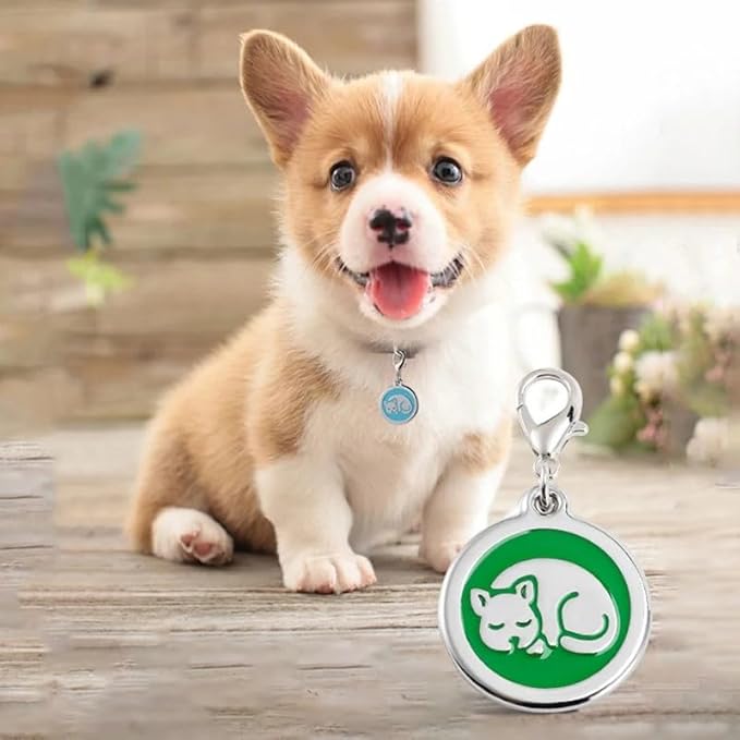 Personalized Pet ID Tags for Kittens and Cats - Custom cat Name tag and ID tag for Collar (Green, Sleeping Cat Round-Small)