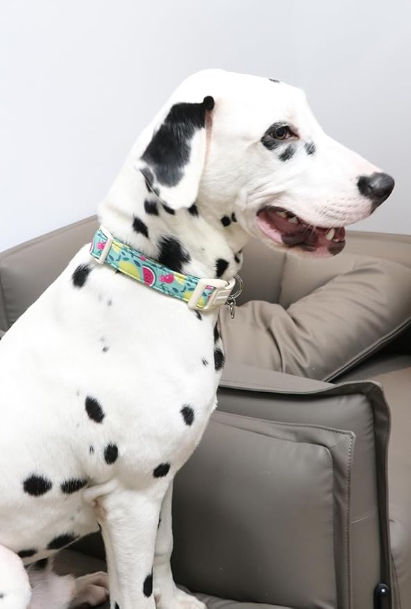 DOGWONG Cotton Dog Collar - Spring Summer Durable Soft Natural Fabric Pet Collar - Cute Wedding Puppy Necklace for Small Medium Large Dogs