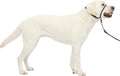 PetSafe Gentle Leader Headcollar No-Pull Dog Collar - Helps Improve Walks - Durable Nylon Construction - Padded Nose Loop - Adjustable Fit - Comfort Walking Halter - Large, Charcoal