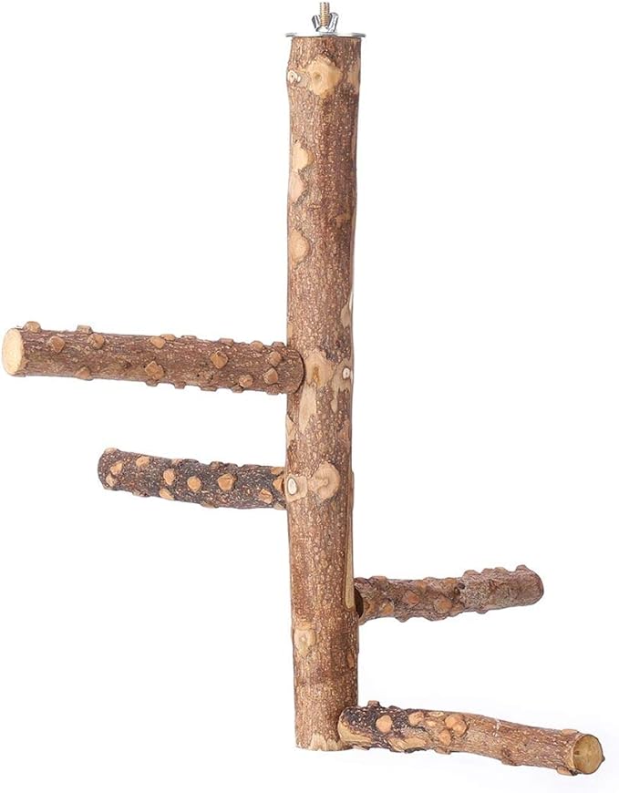 Bird Perch Nature Wood Stand for 3-4pcs Small Medium Parrots (M)
