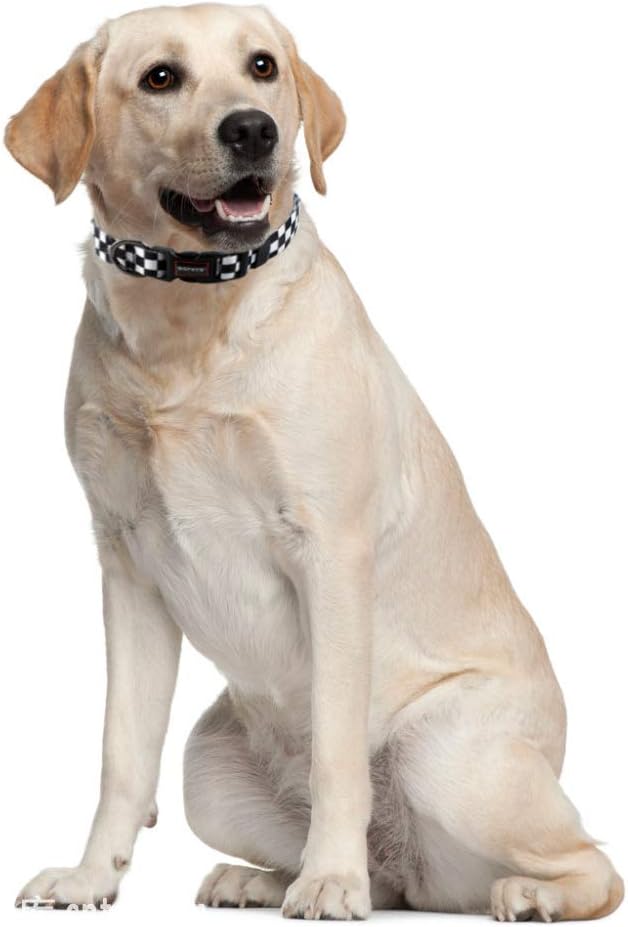 QQPETS Adjustable Soft Dog Collar: Print Flower Pink Multicolor Cute Patterns for XS Small Medium Large Pet Girl Boy Puppy Walking Running Training (S, Plaid)