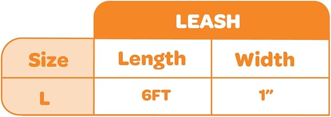 Best Pet Supplies Voyager Reflective Dog Leash or Collar with Neoprene Handle, for Small, Medium, and Large Breed Puppies, Cute and Heavy Duty for Walking, Running and Training - Fuchsia Leash, L