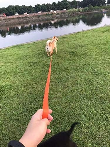 AMAGOOD Dog Leashes for Large, Medium & Small Dogs,20 ft Long Dog Leash-for Training,Tie Out,Play,Safety,Camping (20Feet x 1Inch, Blue)