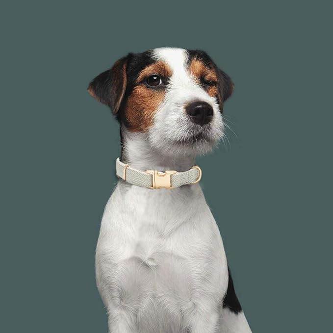 Soft Cotton Hemp Dog Collar with Metal Buckle Adjustable Twilled Dog Collars for Small Medium Large Dogs(Grey,Large)