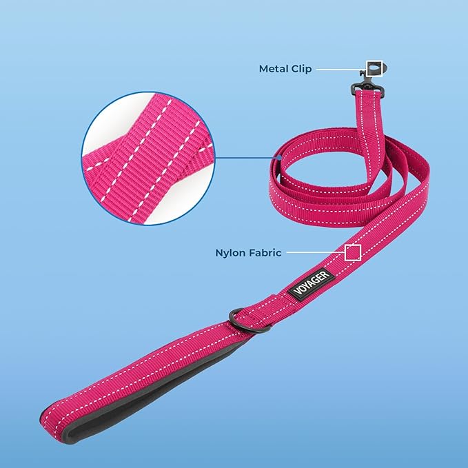 Best Pet Supplies Voyager Reflective Dog Leash or Collar with Neoprene Handle, for Small, Medium, and Large Breed Puppies, Cute and Heavy Duty for Walking, Running and Training - Fuchsia (Leash), L