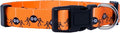 Native Pup Halloween Dog Collar- Spooky Fall Themed Horror Costume Collars- Skull, Pumpkin, Ghost, Bat, Witch, Candy Corn, Spider- Adjustable for Small, Medium, Large Breeds (Medium, Spiders)