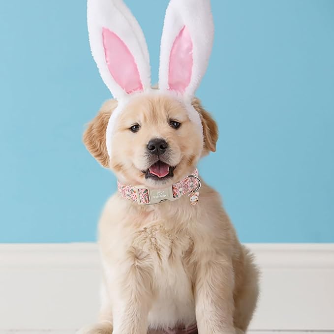 Easter Dog Collar for Small Dogs - Pink Girly Bunny Dog Collars, Cute Girl Dogs Easter Collar, Adjustable Female Spring Holiday Pet Collars with Quick Release Buckle S