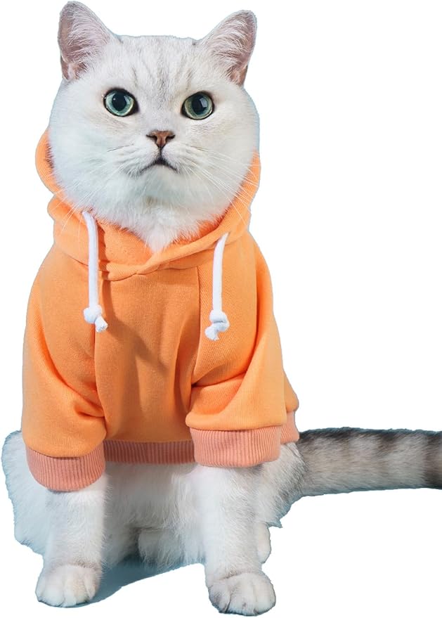 QWINEE Basic Dog Hoodie Sweatshirt Puppy Sweater Warm Cat Costumes Pet Clothes for Chihuahua Puppy Kitten Small Medium Dogs Orange Large