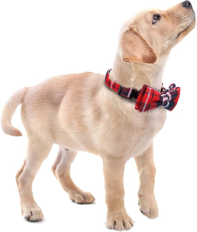Faleela Soft &Comfy Christmas Bowtie Dog Collar,Detachable and Adjustable Bow Tie Collar,for Small Medium Large Pet (S, Red)