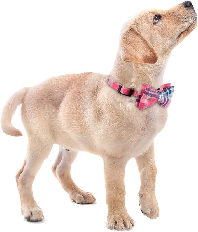 Faleela Soft &Comfy Bowtie Dog Collar,Detachable and Adjustable Bow Tie Collar,for Small Medium Large Pet (Large(Pack of 1), Pink)