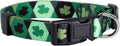 Native Pup St Patricks Dog Collar- Saint Patrick Green Shamrock Pet Collars- St. Patrick’s Lucky Irish- Cute Boy Girl Puppy Gift- Adjustable for Small, Medium, Large Breeds (Argyle, Large)