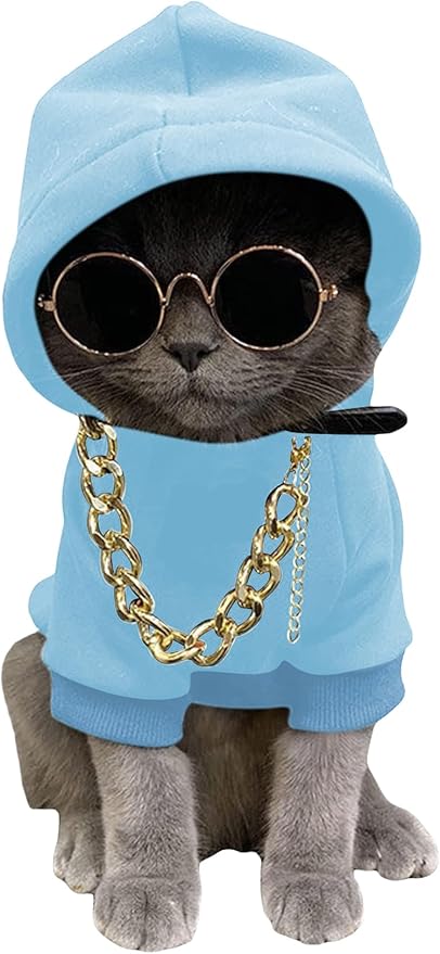 QWINEE 3Pcs Dog Hoodie Cat Apparel Dog Custume Set with Necklace and Sunglasses Pet Clothes for Puppy Small Medium Dogs Cats Light Blue X-Small
