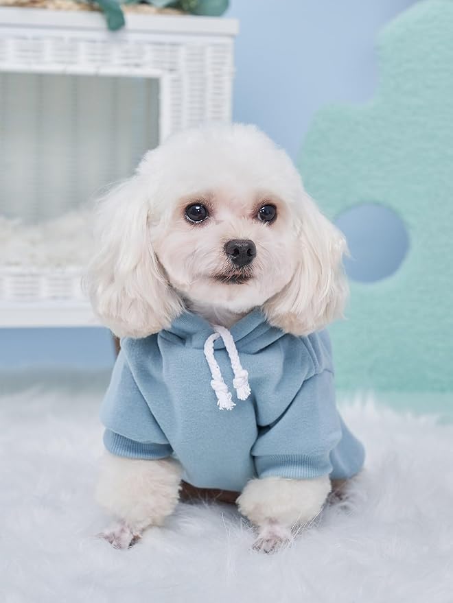 QWINEE Basic Dog Hoodie Sweatshirt Puppy Sweater Warm Cat Costumes Pet Clothes for Chihuahua Puppy Kitten Small Medium Dogs Black Green and Grey Small