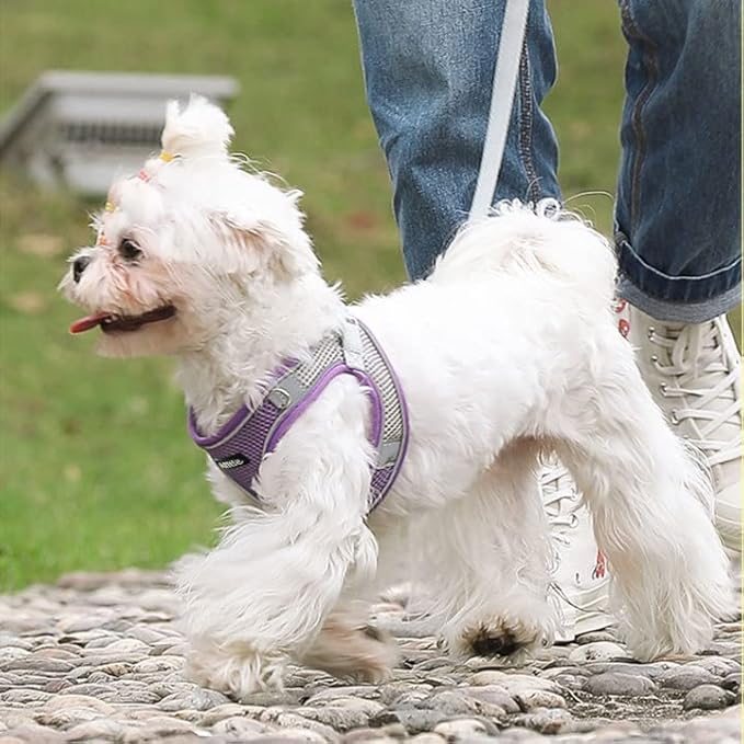 AIITLE Escape Proof Dog Harness - Step in Adjustable Dog Harness No Choke Over with Breathable Mesh and Quick-Release Buckle for All Weather- Outdoor Walking, Training for Medium Dogs Purple XL