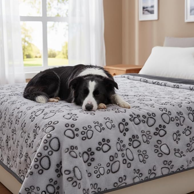 Stuffed Premium Soft Dog Blankets for Large Dogs, Large Cat Blanket Calming Washable for Bed Couch Protection Cover, Dog Essentials for Dog, 66 * 82 inches, Grey