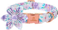 Lionheart Glory Purple Dog Collar With Flower - Cute Floral Pattern Adjustable Pet Collar for Small Dogs