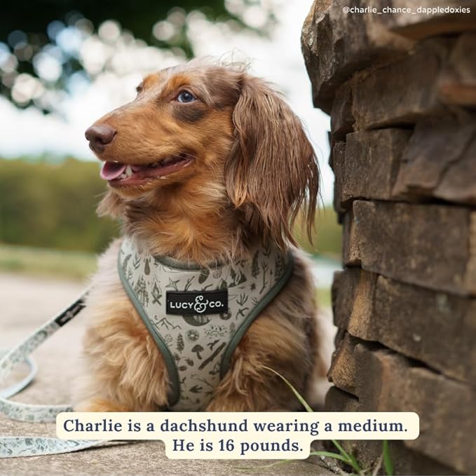 Lucy & Co. Cute Reversible Dog Harness Walking Halter - Best Designer Pet Harnesses for XS - XL Dogs - Padded Adjustable Vest for Easy Walking-Small-Green Outdoor Plaid
