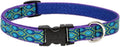 Lupine Small Dog Collar 3/4" Wide Rain Song Adjusts from 9" to 14"