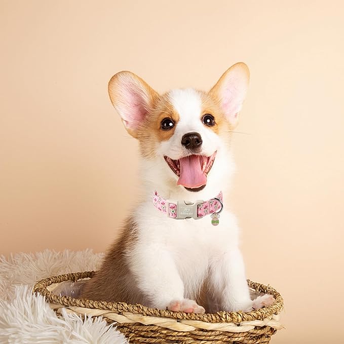 Easter Dog Collar for Large Dogs - Cowgirl Chick Easter Collars for Dogs, Pink Girl Dog Collar, Adjustable Spring Holiday Pet Collars with Quick Release Buckle L