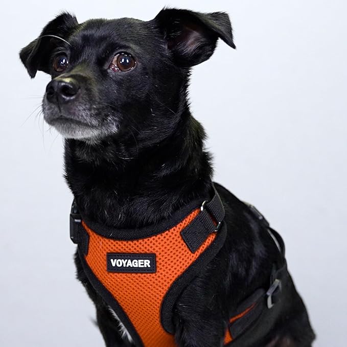 Voyager Step-in Pet Harness - All Weather Mesh, Adjustable Step in Harness for Cats and Dogs by Best Pet Supplies - Orange/Black Trim, M