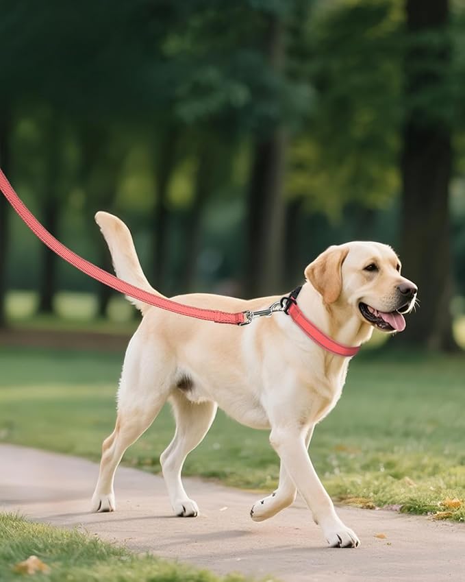 Joytale Large Dog Collar, Reflective and Adjustable Nylon Pet Collar with Quick-Release Buckle for Extra Large Dogs, Pink, XL