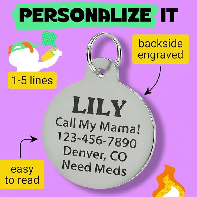 Bad Tags Personalized Dog and Cat ID Tags in 25+ Designs and 2 Sizes - 5 Lines of Custom Engraved Text - Funny Cute Personalized Pet Tags (Invader of Personal Space - Green, Small (1 inch))