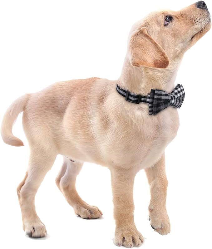 Faleela Soft &Comfy Bowtie Dog Collar,Detachable and Adjustable Bow Tie Collar,for Small Medium Large Pet (Large(Pack of 1), Black and Whit)