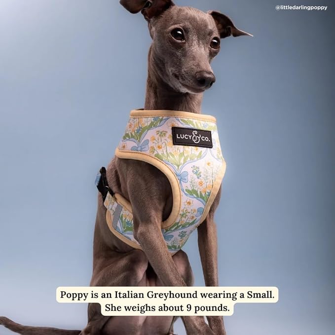 Lucy & Co. Sunshine and Daffodils Reversible Dog Harness, Adjustable Comfort Fit with Dual Leash Attachments, Medium