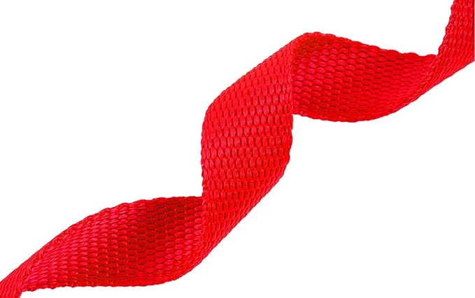 AMAGOOD Dog/Puppy Obedience Recall Training Agility Lead-15 ft 20 ft 30 ft 50 ft Long Leash-for Dog Training,Tie Out,Play,Safety,Camping (20Feet x 1Inch, Red)