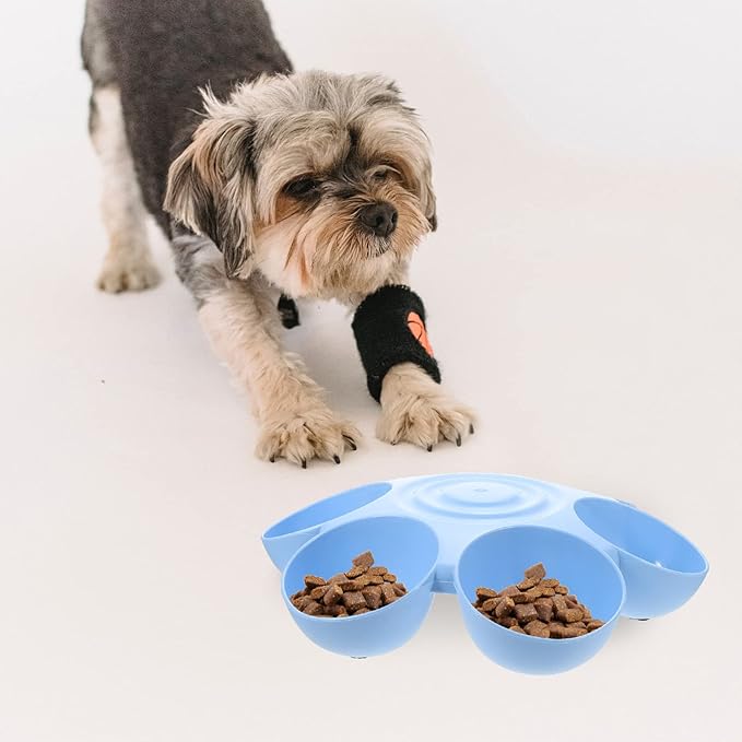 Puppy Litter Bowl Cat Bowls Dog Food Water Bowls Flower Shaped 6 Bowls Pet Feeding Dish Multiple Cat Feeder Dog Treats Dispenser for Puppy Kitten Blue Feeding Station