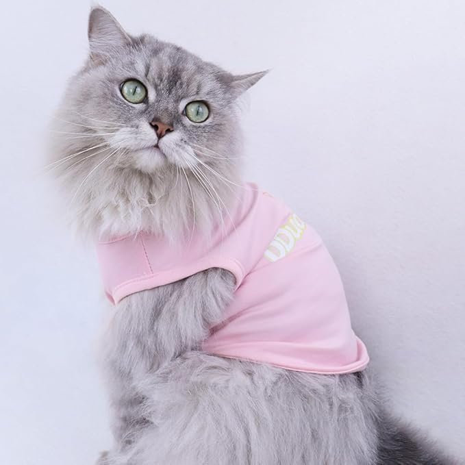 Custom Dog Shirt,Personalized Pet Apparel with Name Text Photo Image,Lightweight Breathable Puppy Kitten Cotton Vest for Small Medium Large Dogs Cats,Puppy Gift (Gray, Medium)