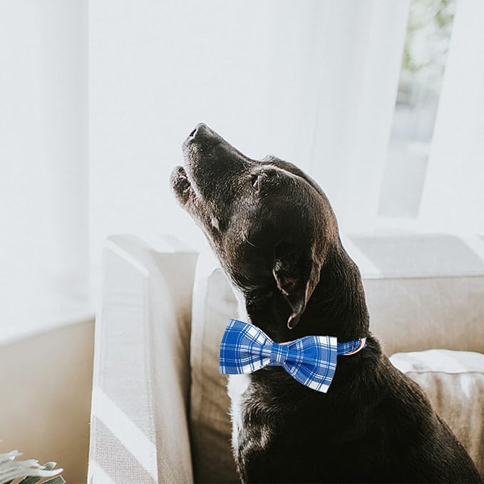 Lionheart glory Dog Collar, Boy Dog Collar Bowtie Blue Adjustable Dog Bowtie Collar Bows Dog Collar for Large Dogs