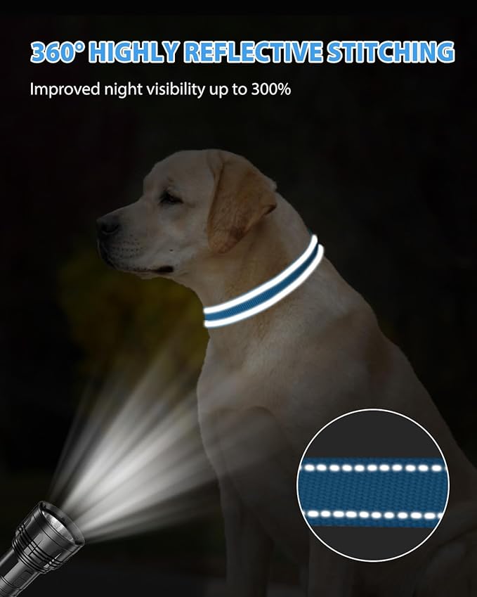 Joytale Large Dog Collar, Reflective and Adjustable Nylon Pet Collar with Quick-Release Buckle for Large Dogs, Sky Blue, L