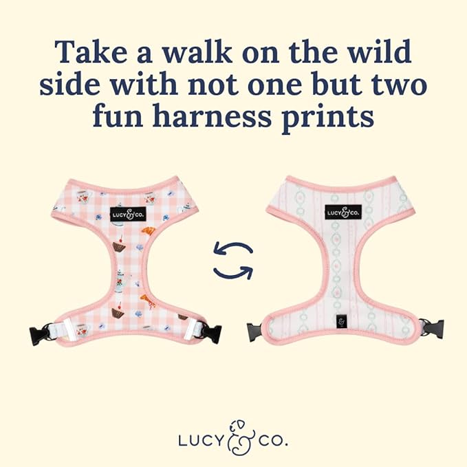 Lucy & Co. Sipping Slowly Reversible Dog Harness, Adjustable Comfort Fit with Dual Leash Attachments, X-Small