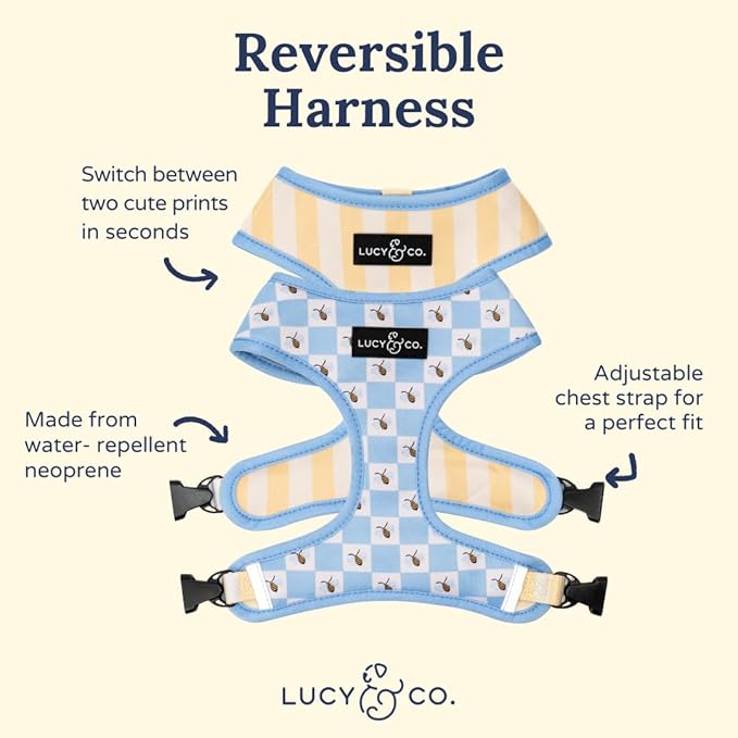 Lucy & Co. Bumbling Around Reversible Dog Harness, Adjustable Comfort Fit with Dual Leash Attachments, Large