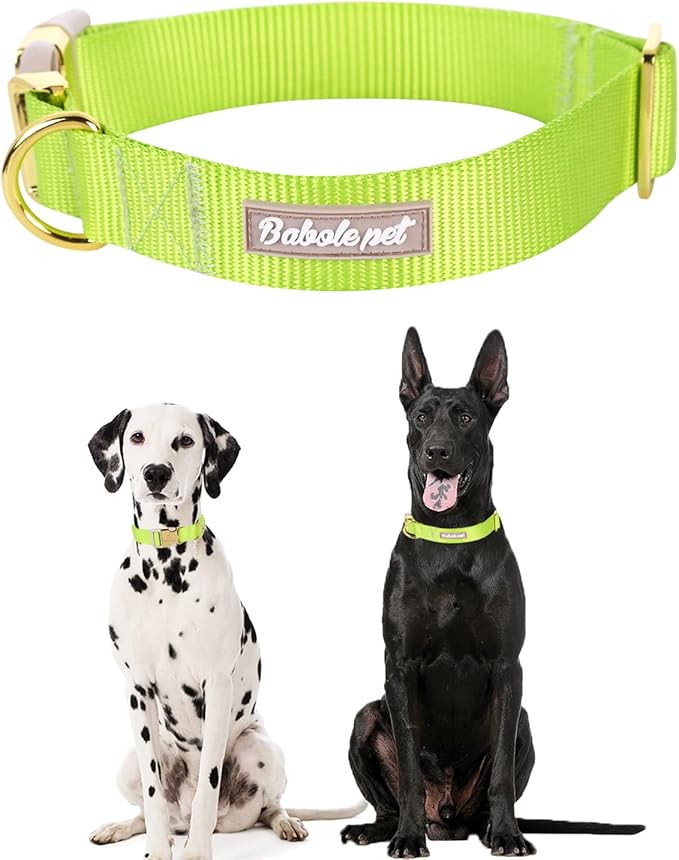 Nylon Dog Collar - Adjustable Fluorescent Green Soft Webbing Dog Collars for Small Medium Large Dogs Boy Girl Puppy Collar with Safety Metal Buckle XS