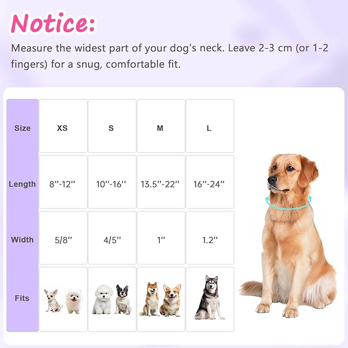 Easter Dog Collar for Large Dogs, Easter & Spring Theme Large Dog Collar with Cute Chick & Bunny Pattern, Adjustable Purple Easter Dog Collars Girl Boy Collar for Dogs -L
