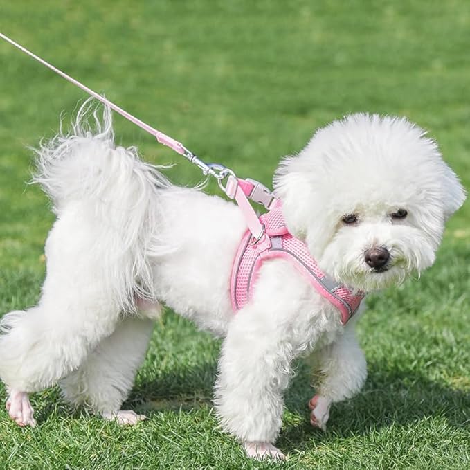 AIITLE Easy Walk Dog Harness and Leash Set - Pet Supply No Pull, Step in Adjustable Dog Harness with Padded Vest, Dog Harness No Choke Over, Easy to Put on Medium Dogs Pure Pink L